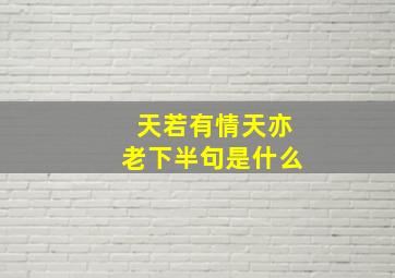 天若有情天亦老下半句是什么