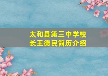 太和县第三中学校长王德民简历介绍