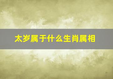 太岁属于什么生肖属相