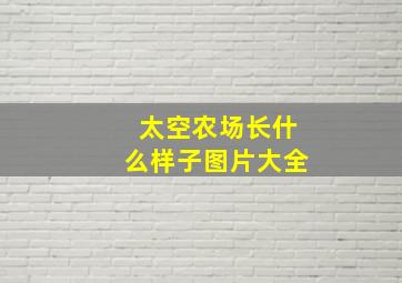 太空农场长什么样子图片大全