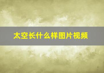 太空长什么样图片视频