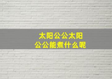 太阳公公太阳公公能煮什么呢