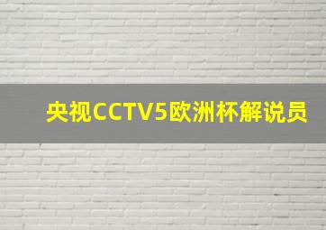 央视CCTV5欧洲杯解说员