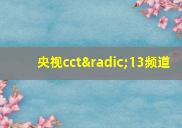 央视cct√13频道