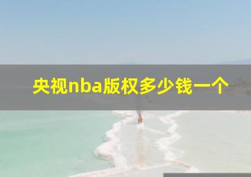 央视nba版权多少钱一个