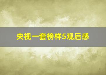 央视一套榜样5观后感