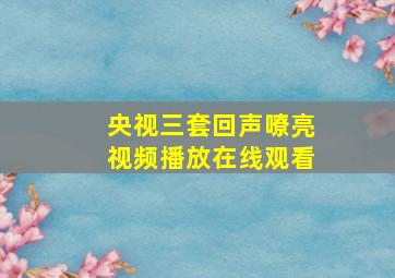 央视三套回声嘹亮视频播放在线观看