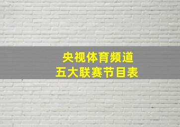 央视体育频道五大联赛节目表