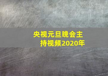 央视元旦晚会主持视频2020年