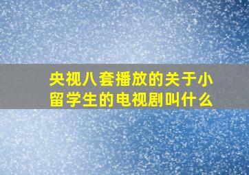 央视八套播放的关于小留学生的电视剧叫什么