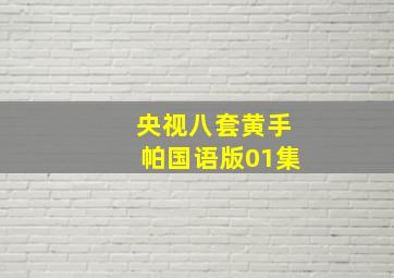 央视八套黄手帕国语版01集