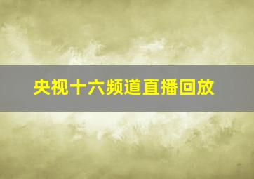 央视十六频道直播回放