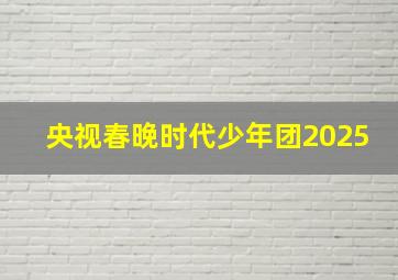 央视春晚时代少年团2025