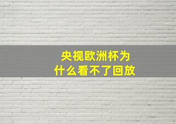 央视欧洲杯为什么看不了回放