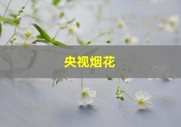 央视烟花