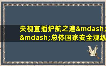 央视直播护航之道——总体国家安全观纵横