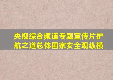 央视综合频道专题宣传片护航之道总体国家安全观纵横