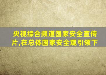 央视综合频道国家安全宣传片,在总体国家安全观引领下