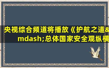 央视综合频道将播放《护航之道—总体国家安全观纵横》