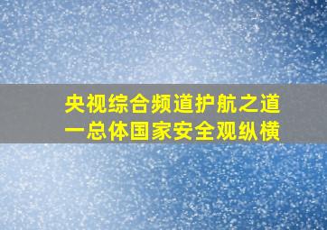 央视综合频道护航之道一总体国家安全观纵横