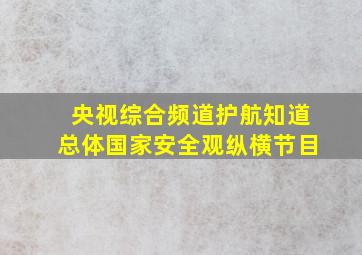 央视综合频道护航知道总体国家安全观纵横节目