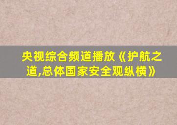 央视综合频道播放《护航之道,总体国家安全观纵横》