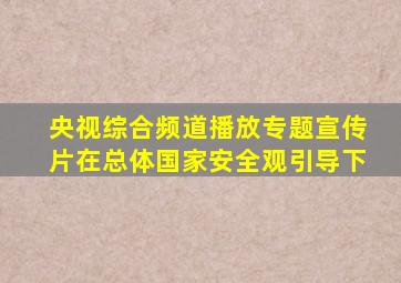 央视综合频道播放专题宣传片在总体国家安全观引导下