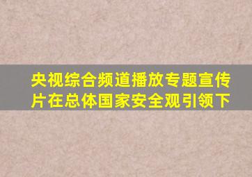 央视综合频道播放专题宣传片在总体国家安全观引领下