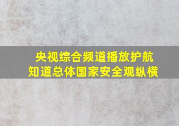 央视综合频道播放护航知道总体国家安全观纵横