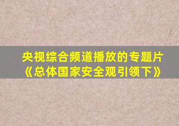 央视综合频道播放的专题片《总体国家安全观引领下》