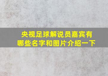 央视足球解说员嘉宾有哪些名字和图片介绍一下