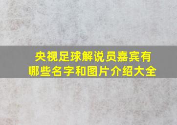 央视足球解说员嘉宾有哪些名字和图片介绍大全