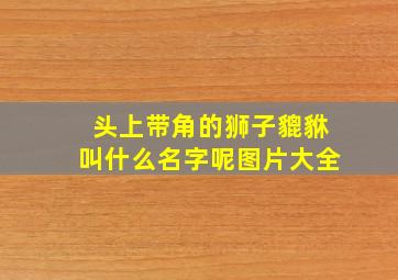 头上带角的狮子貔貅叫什么名字呢图片大全