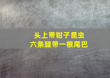 头上带钳子昆虫六条腿带一根尾巴