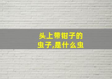 头上带钳子的虫子,是什么虫