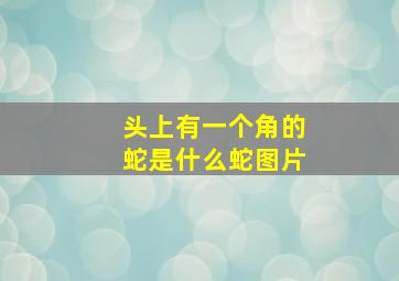 头上有一个角的蛇是什么蛇图片