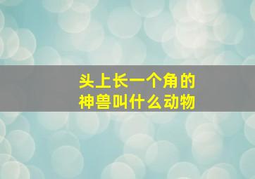 头上长一个角的神兽叫什么动物