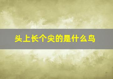 头上长个尖的是什么鸟