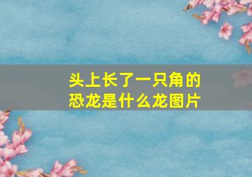 头上长了一只角的恐龙是什么龙图片