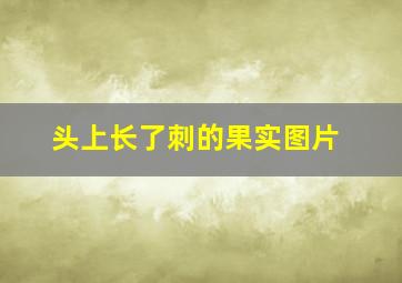 头上长了刺的果实图片