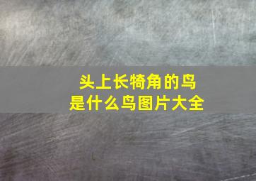 头上长犄角的鸟是什么鸟图片大全