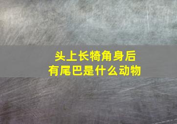 头上长犄角身后有尾巴是什么动物