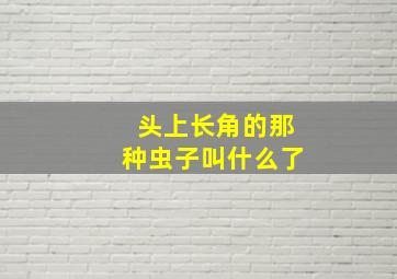 头上长角的那种虫子叫什么了