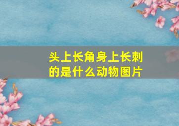 头上长角身上长刺的是什么动物图片