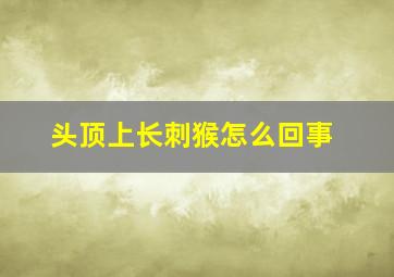 头顶上长刺猴怎么回事