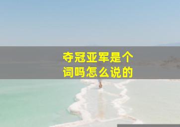 夺冠亚军是个词吗怎么说的