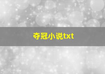 夺冠小说txt