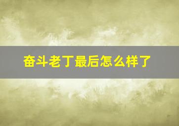 奋斗老丁最后怎么样了