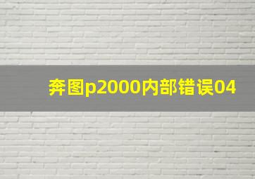 奔图p2000内部错误04