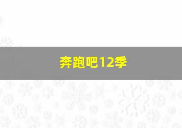 奔跑吧12季